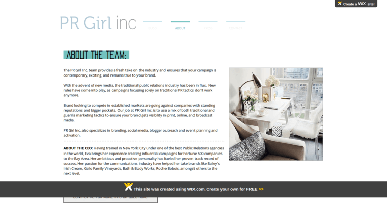 About page of #9 Best Public Relations Business: PR Girl Inc